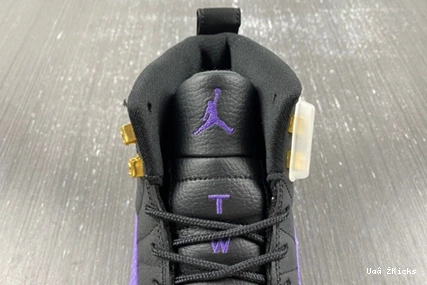 Jordan 739 Retro CT8013-057 EasyMatch Air 12 1117